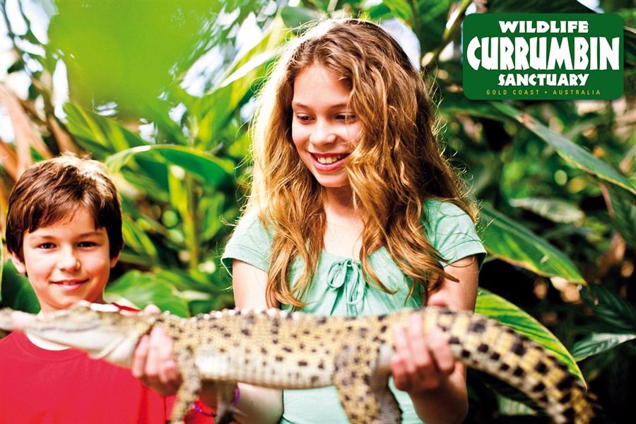 Currumbin Wildlife Sanctuary with kids