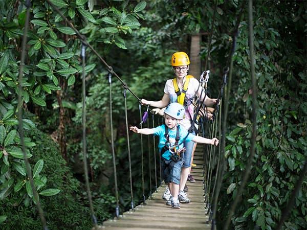 Flight of the Gibbon with kids