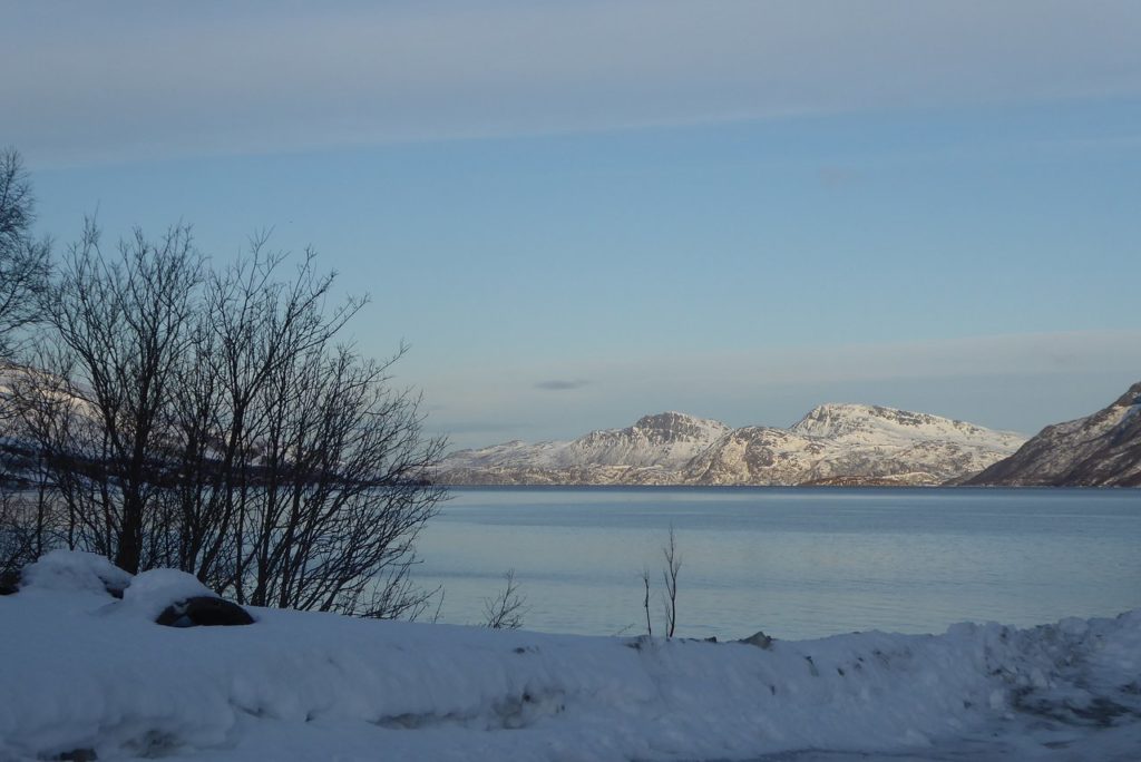 Arctic Fjord tromso