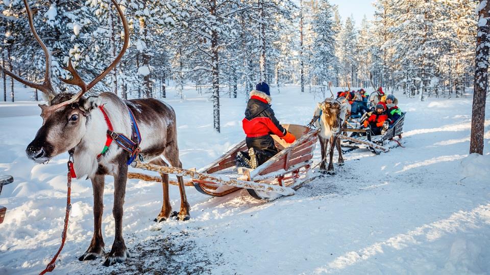 10-best-things-to-do-in-lapland-finland-with-kids-tripm