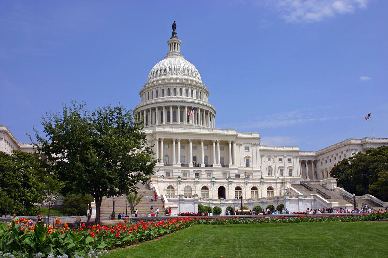 the National Mall in Washington D.C