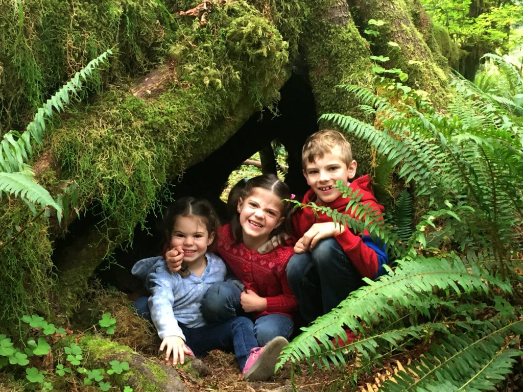 3 kids are sitting under the trees at Olympic National Park.