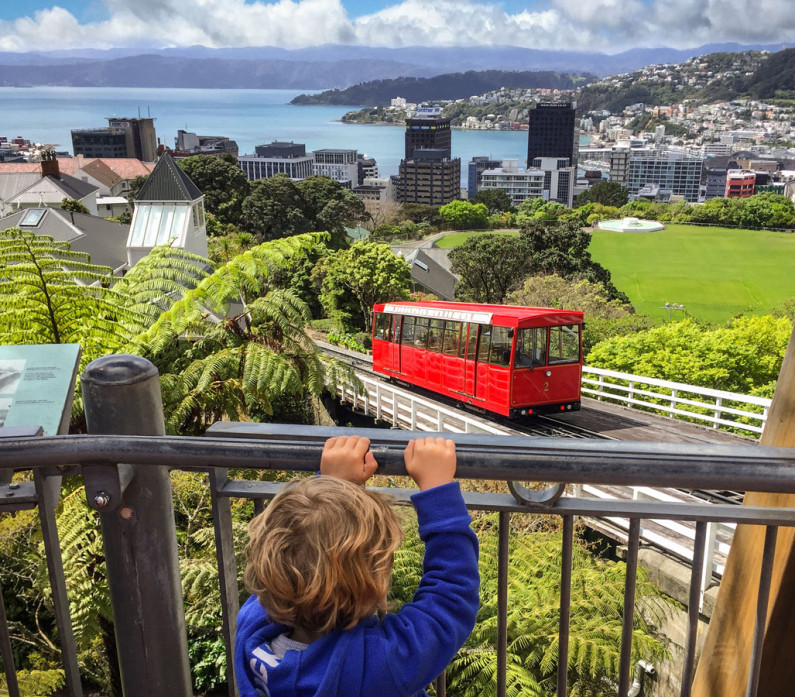 wellington with kids