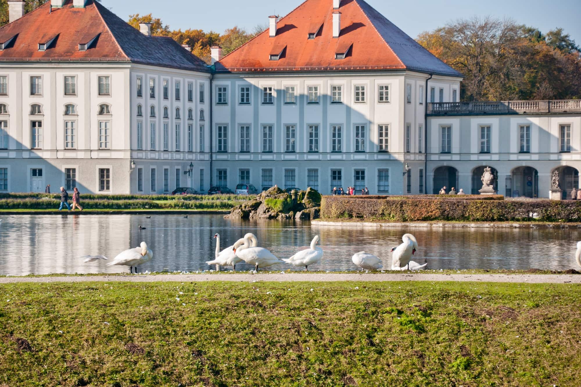 birds stand at a lake in front of the Nymphenburg Palace